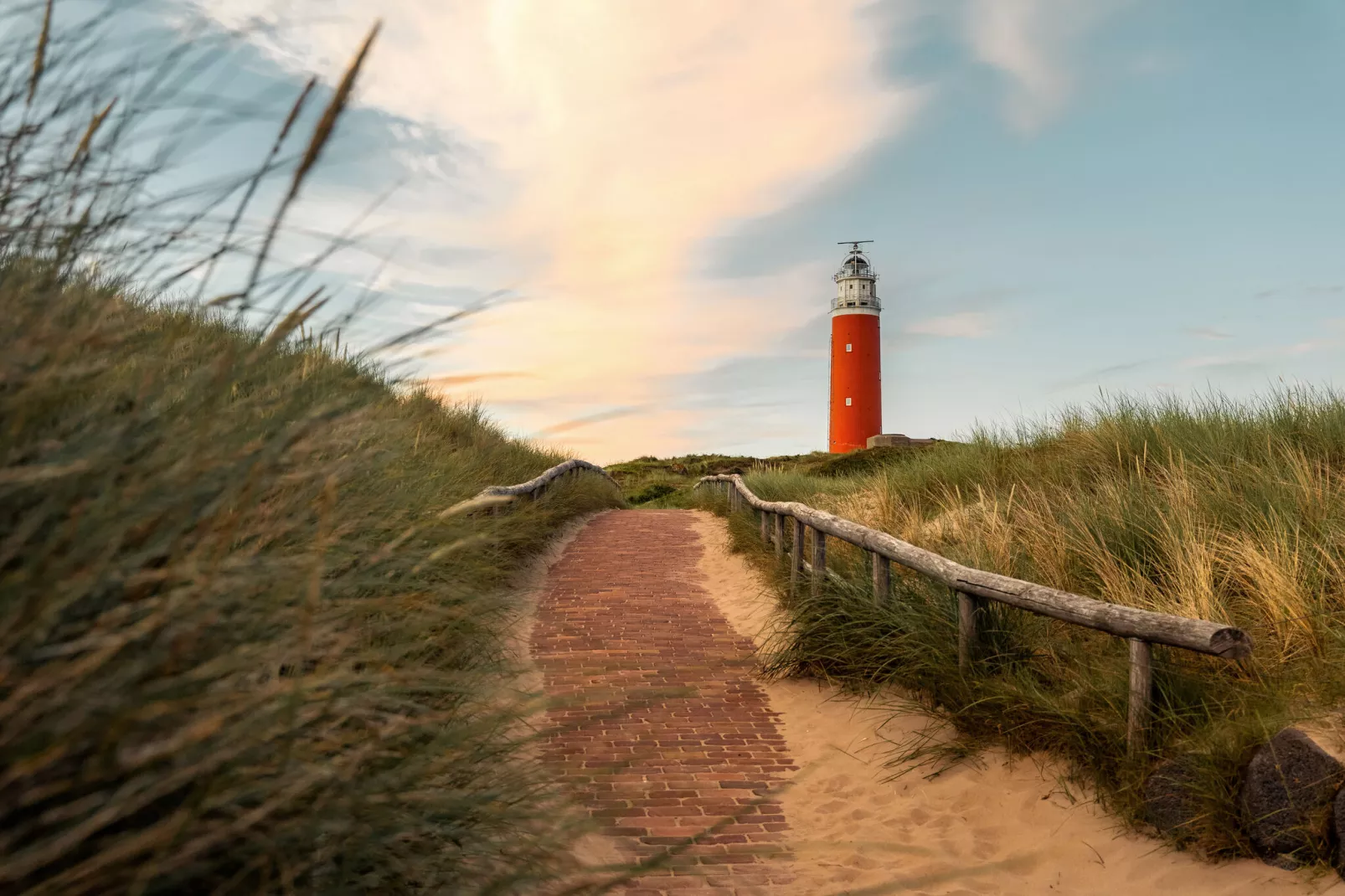 Bosch en Zee 1-Areas summer 1km