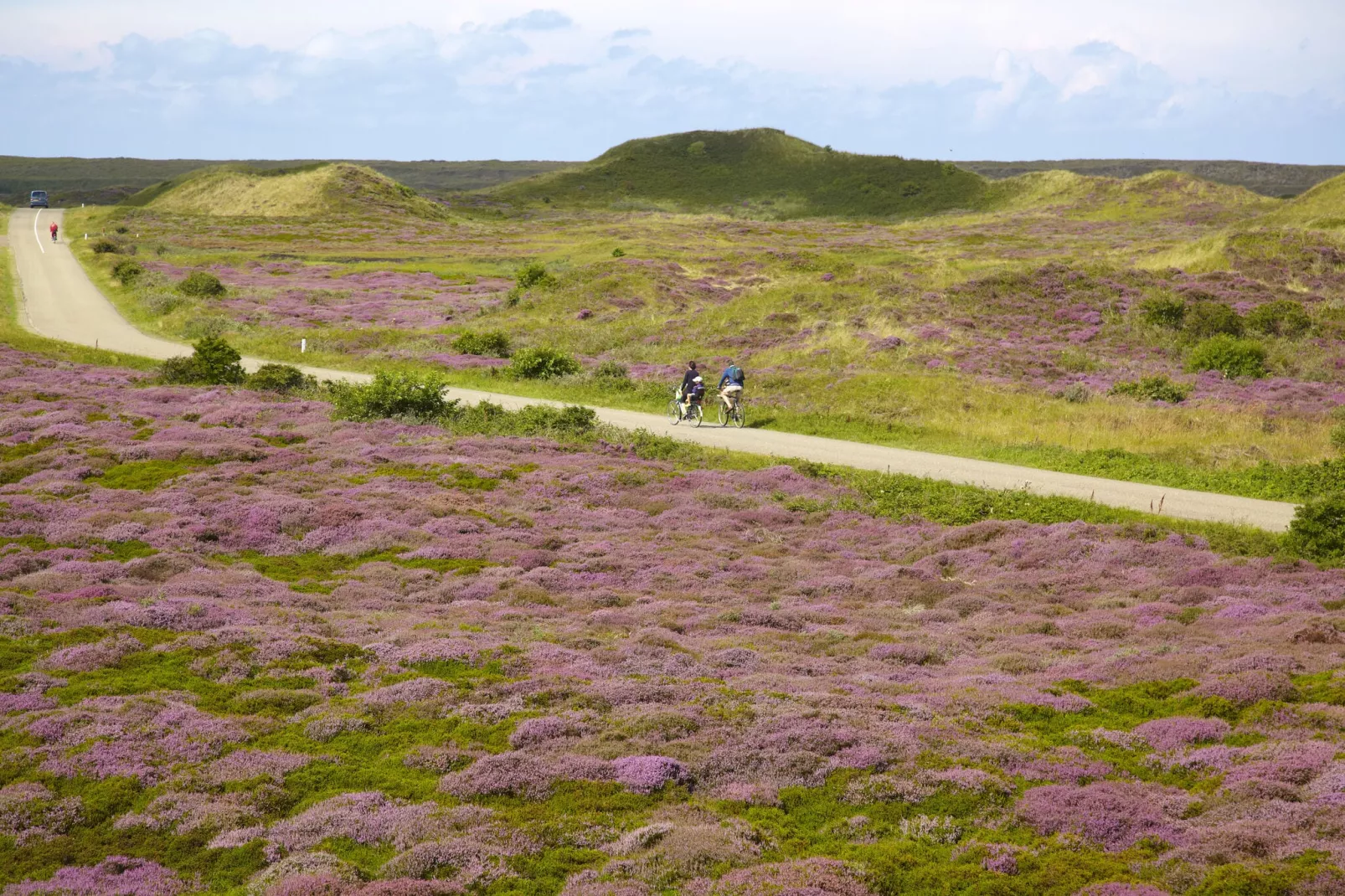 Villapark De Koog 2-Gebiete Sommer 5 km