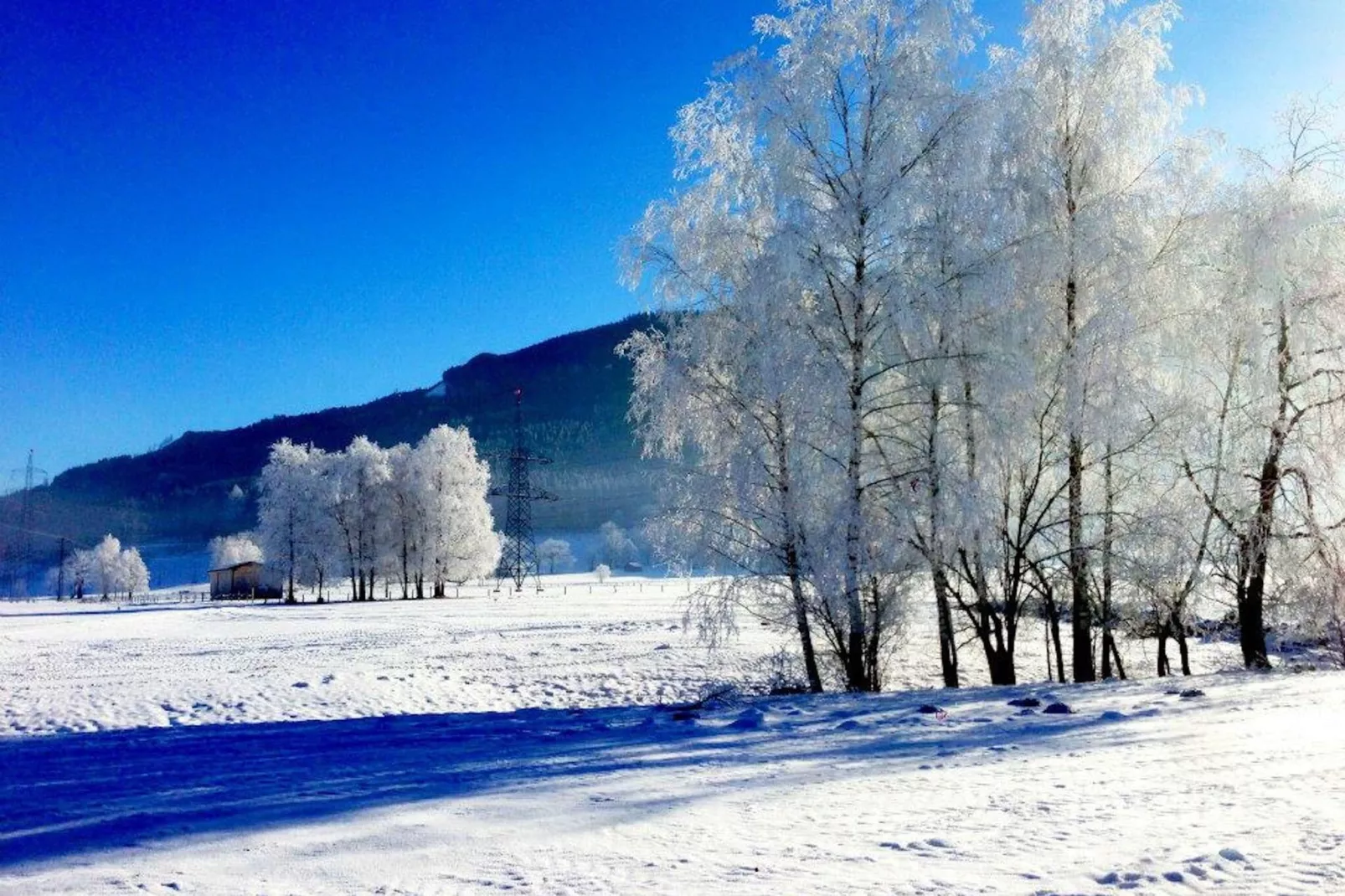 Apartment Oberaigen L-Area winter 5km