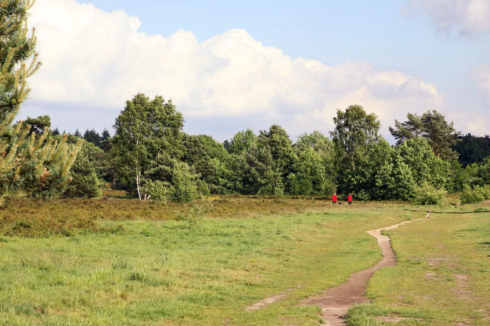 Twentie-Areas summer 1km