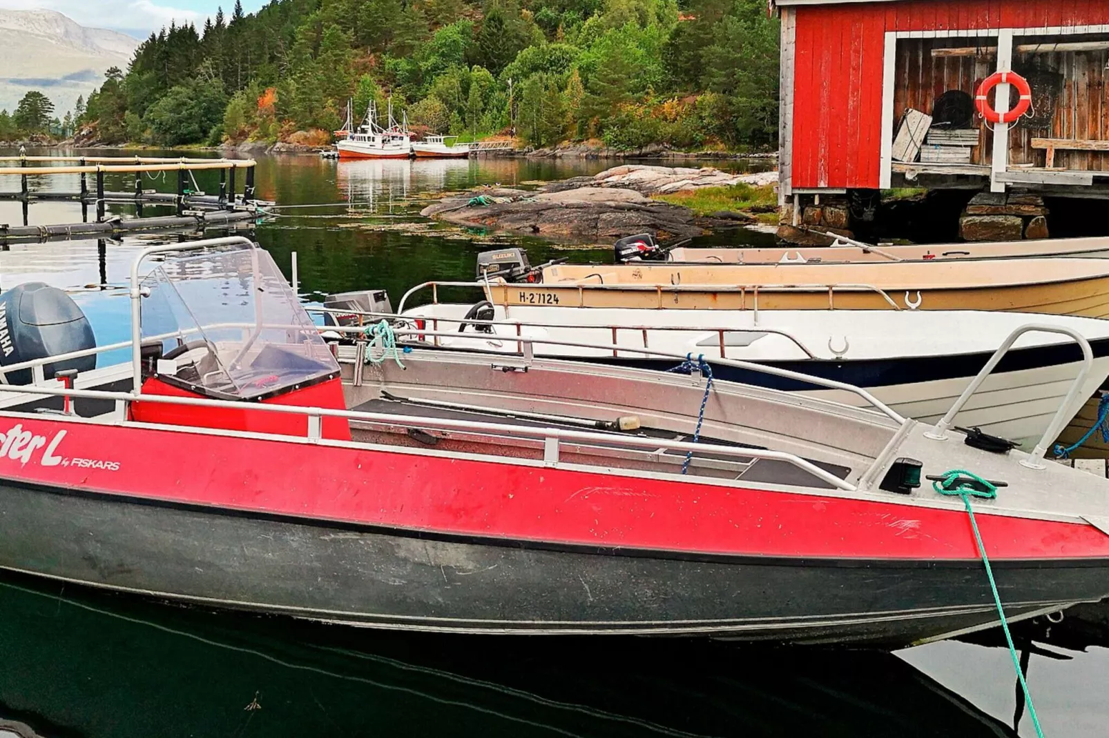 53381 VÅGLAND-Not tagged