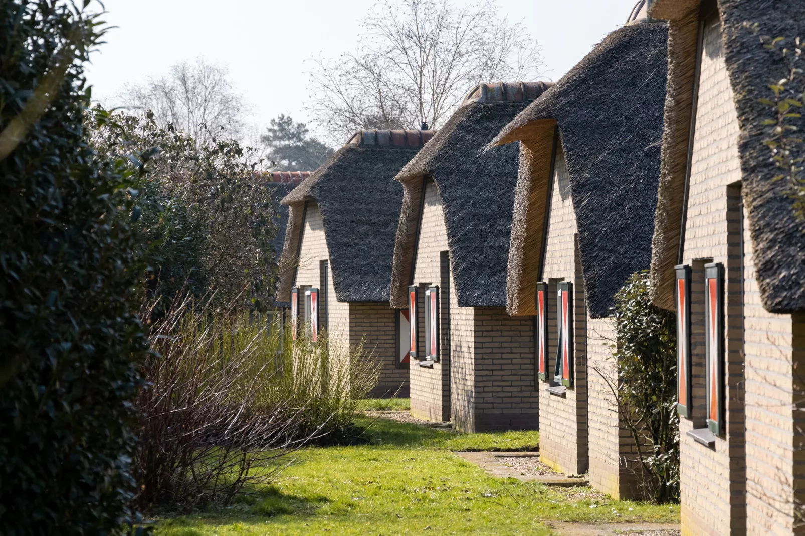 De Veluwse Hoevegaerde 4-Exterior summer