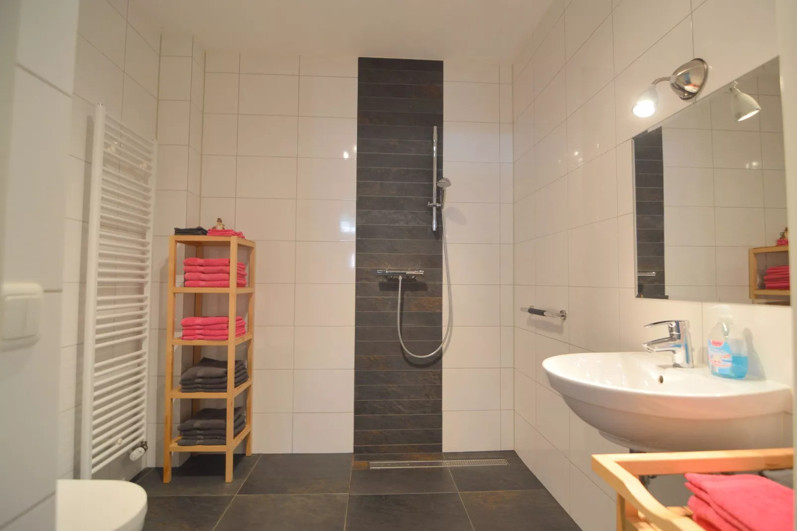 Oppe Winckel - De Biemösj-Salle de bain
