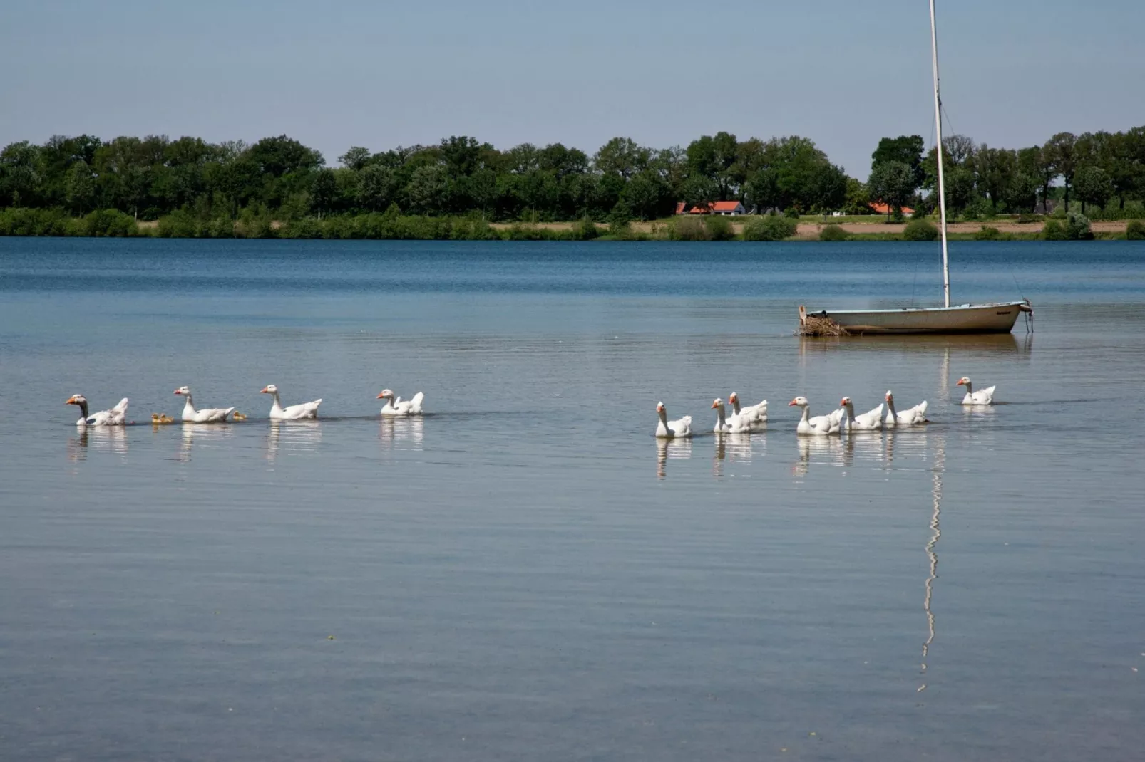 Maaspark Boschmolenplas - Havenblik-Areas summer 1km