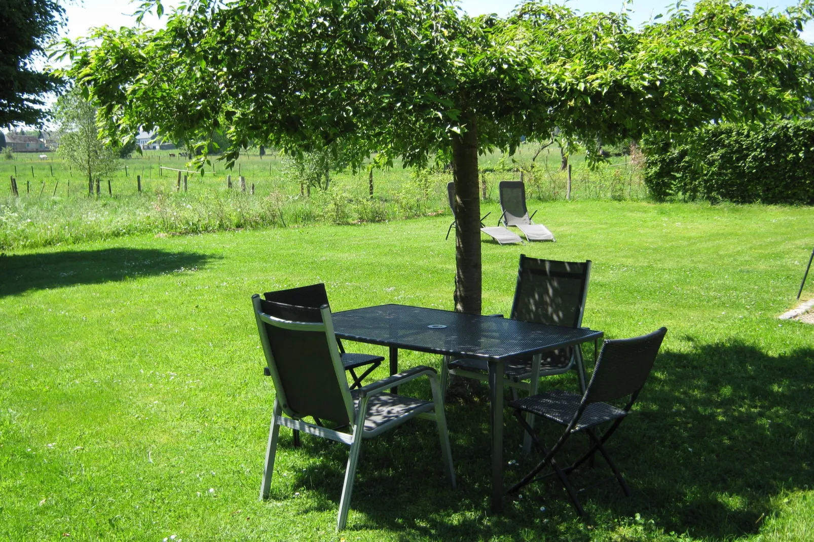 Haus Kohn-Gardens summer