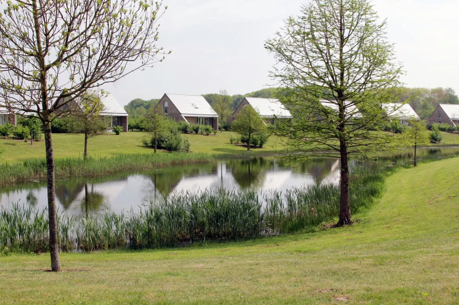 Maaspark Boschmolenplas - Vennenblik-Areas summer 1km