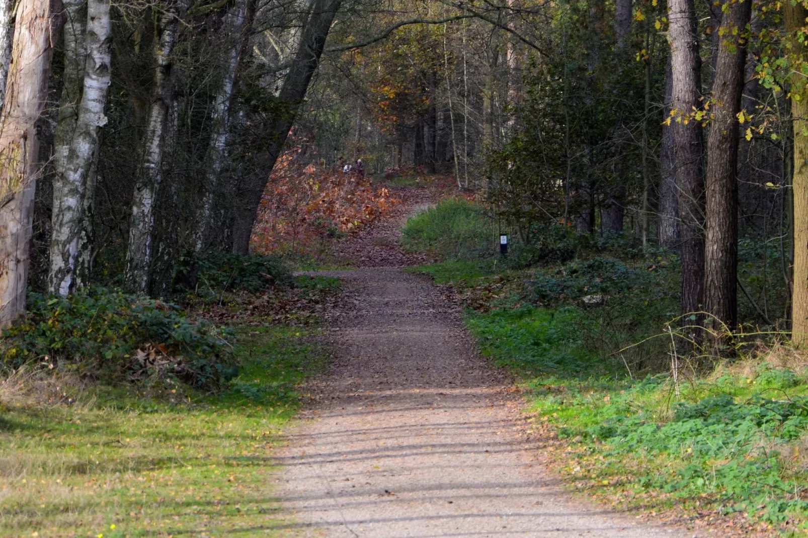 Maaspark Boschmolenplas - Tuinblik-Gebiete Sommer 5 km