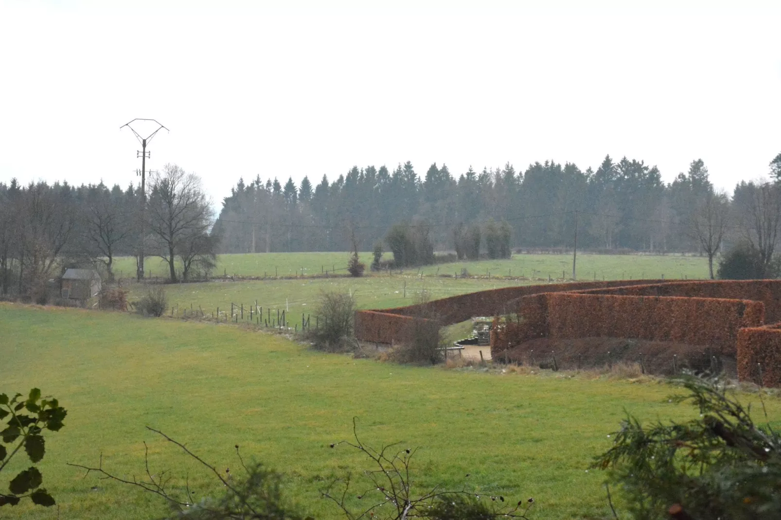 Gîte Forester-Vue d'été