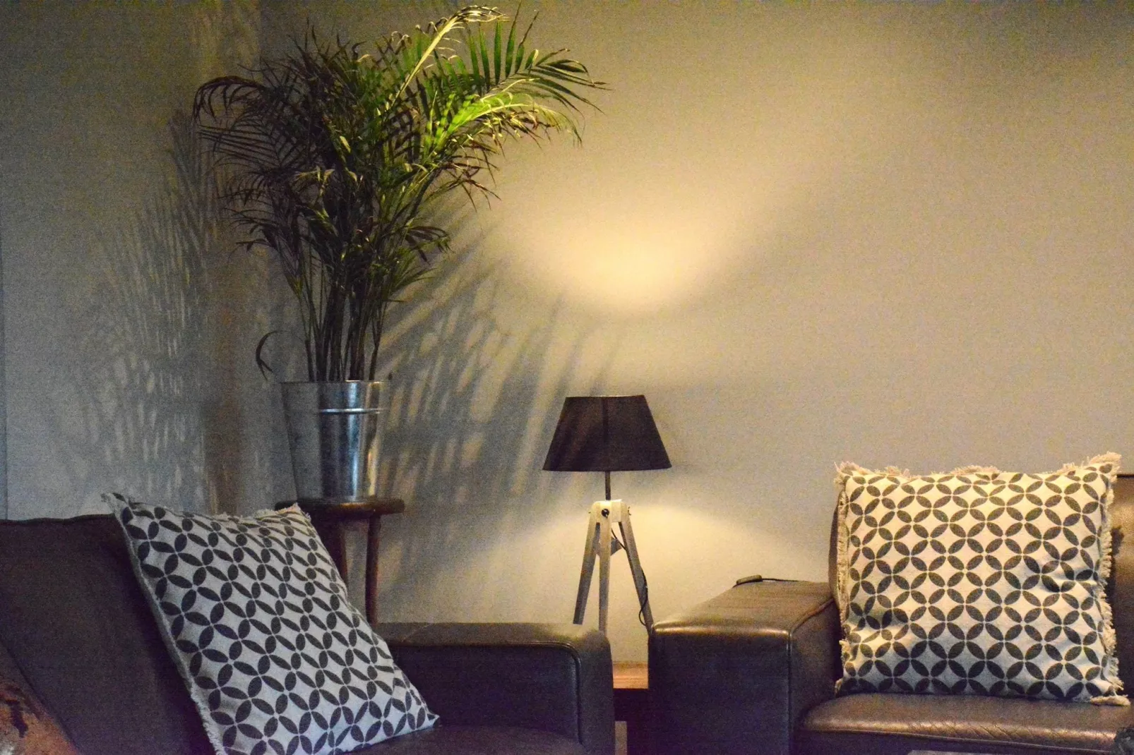Gîte Forester-Ambiance