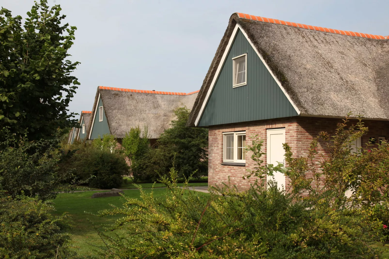 Villapark De Weerribben 5-Exterior summer