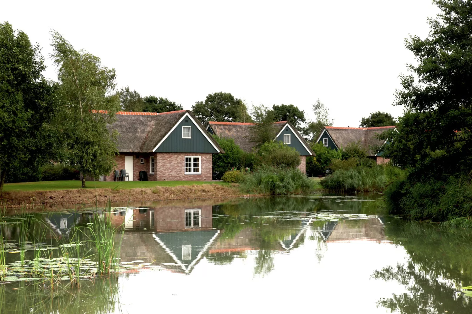 Villapark De Weerribben 5-Exterior summer