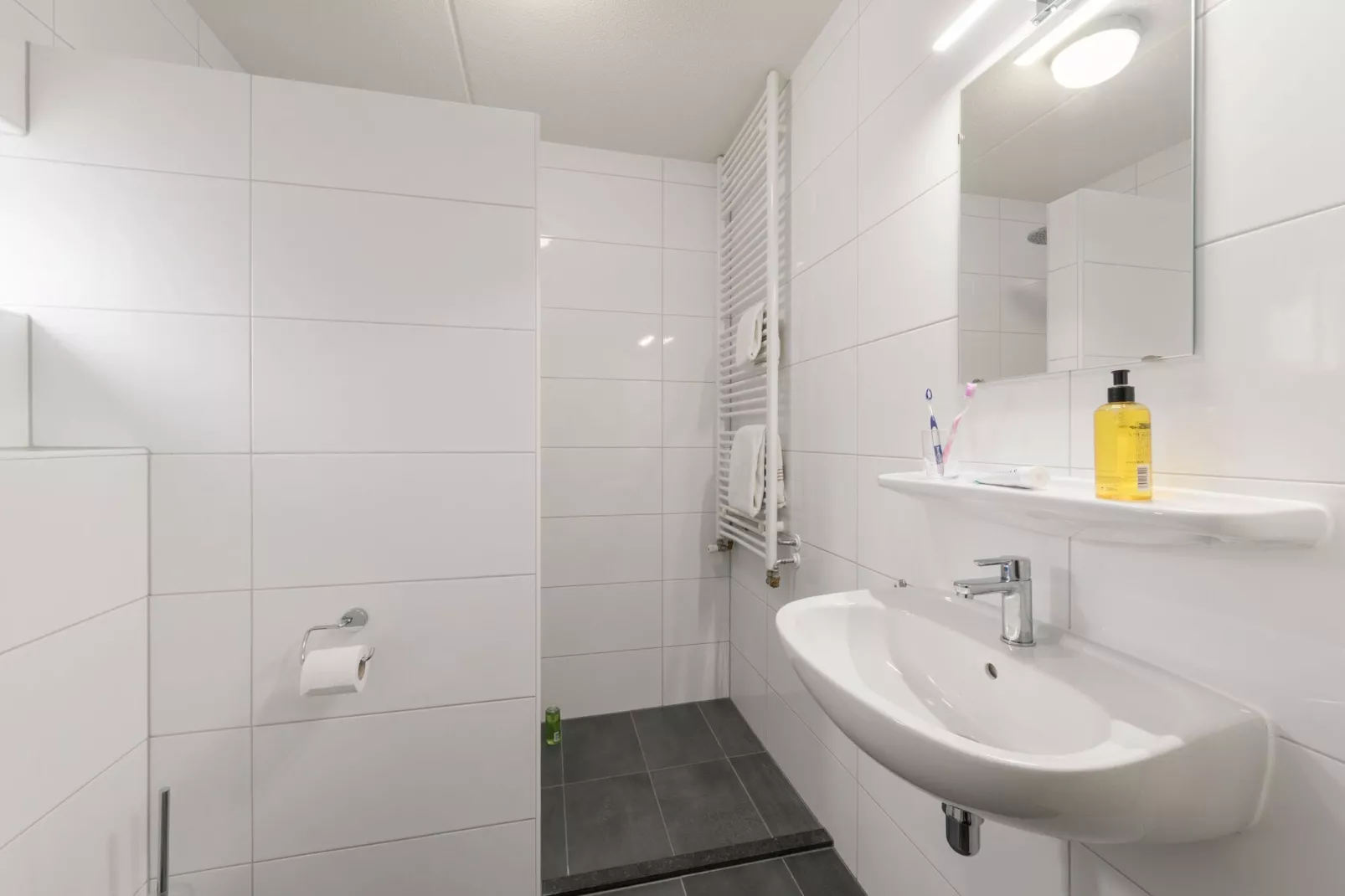 Villapark De Weerribben 5-Bathroom