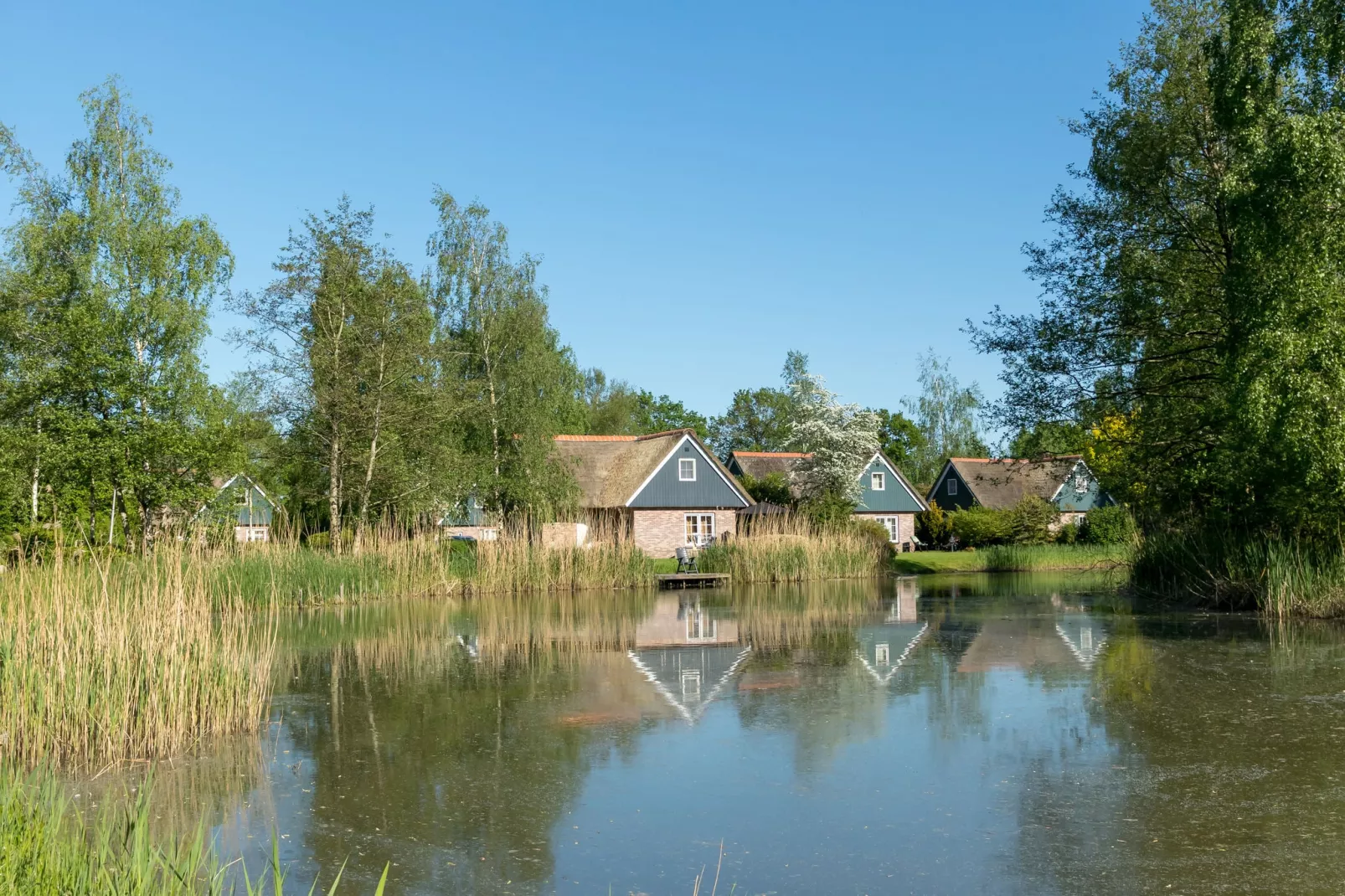 Villapark De Weerribben 3-Park facilities