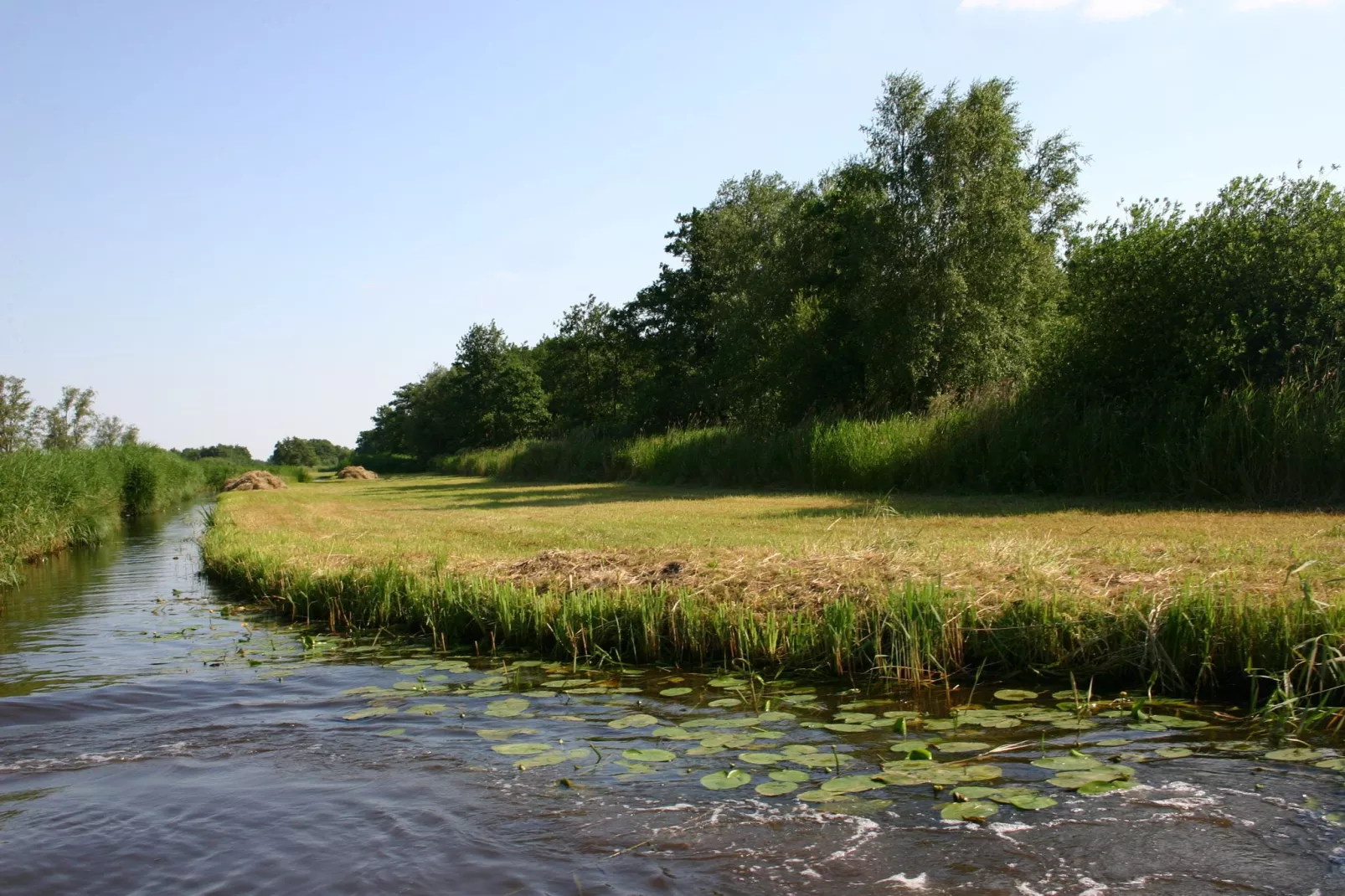 Résidence de Weerribben 4-Areas summer 20km