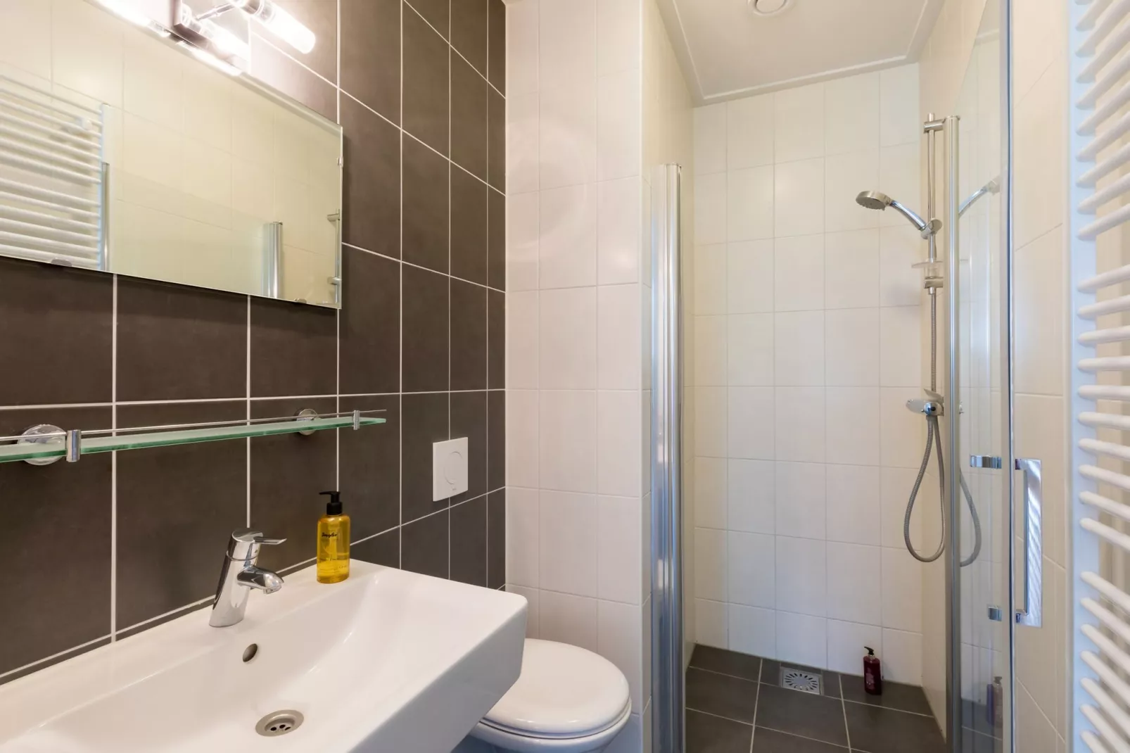 Résidence de Weerribben 1-Bathroom