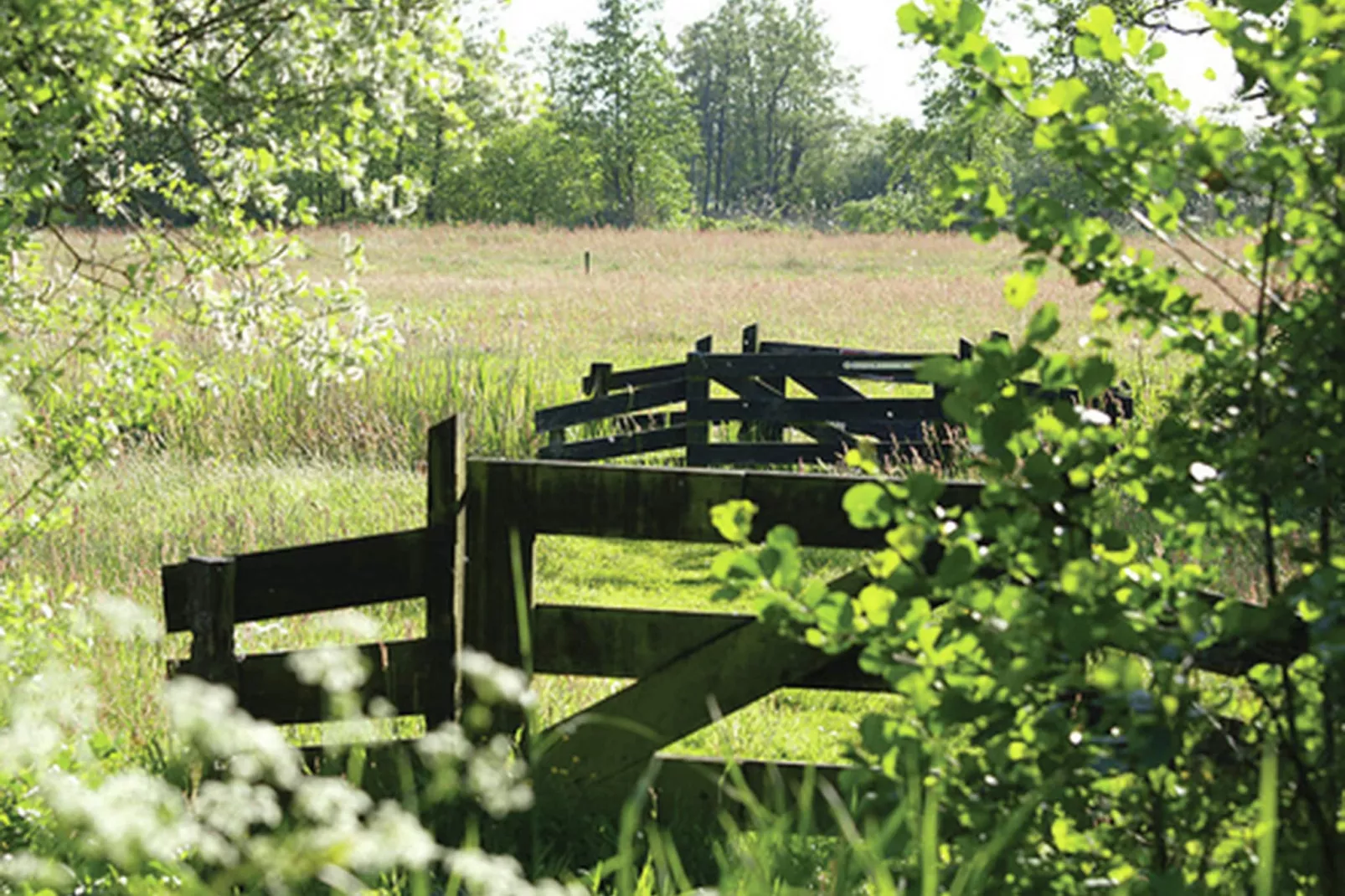 Résidence de Weerribben 1-Areas summer 5km