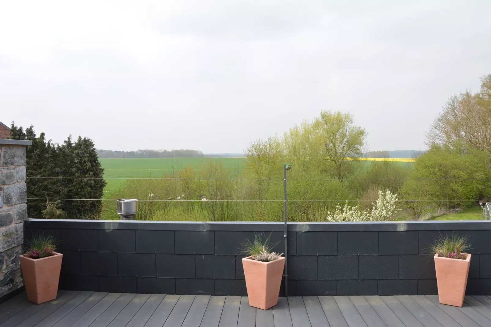 Les secrets du chat-Terrace balcony