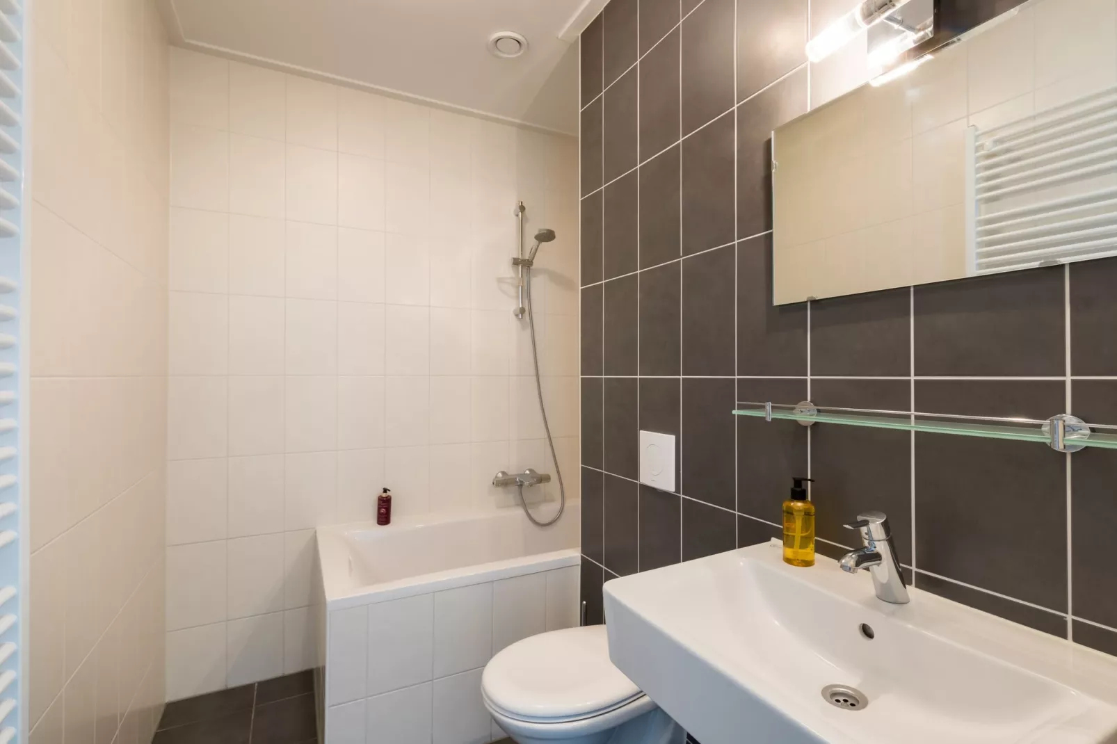 Résidence de Weerribben 3-Bathroom