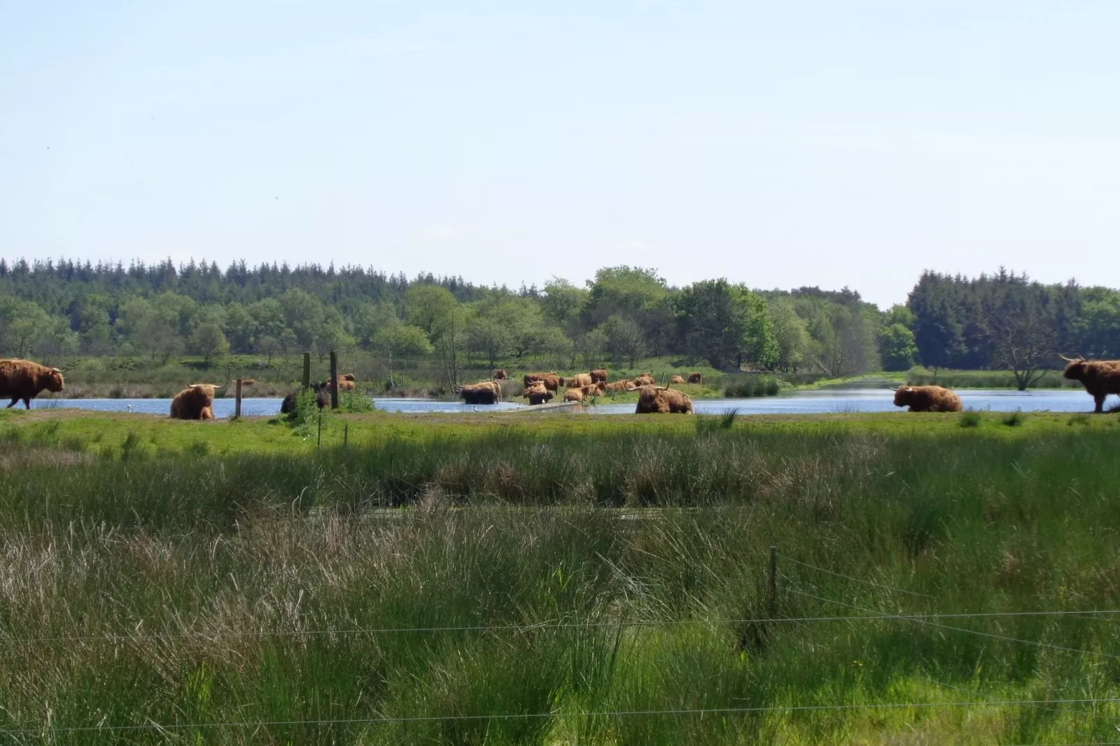 Singelhoeve-Gebiete Sommer 1 km