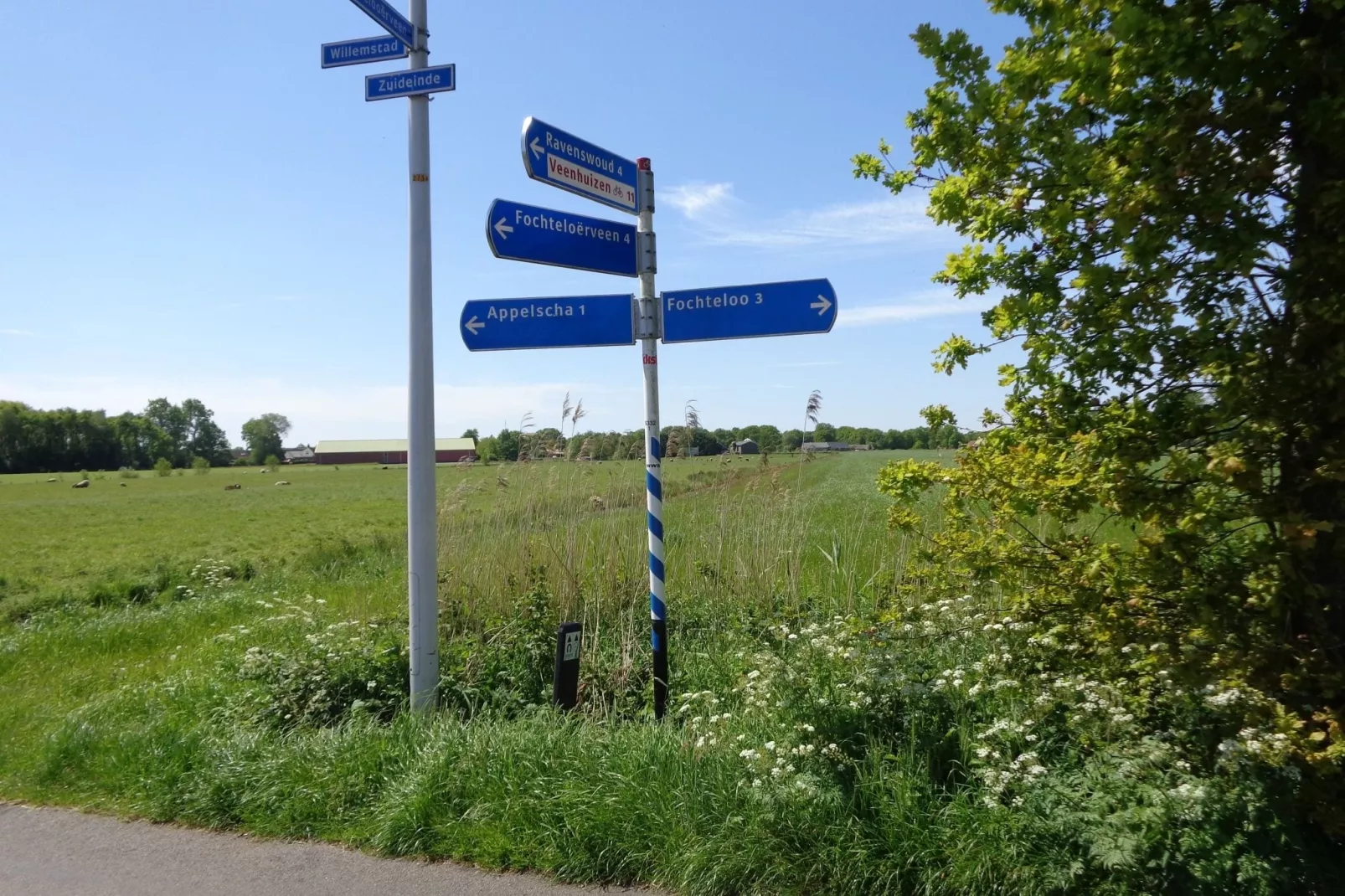 Singelhoeve-Gebiete Sommer 1 km