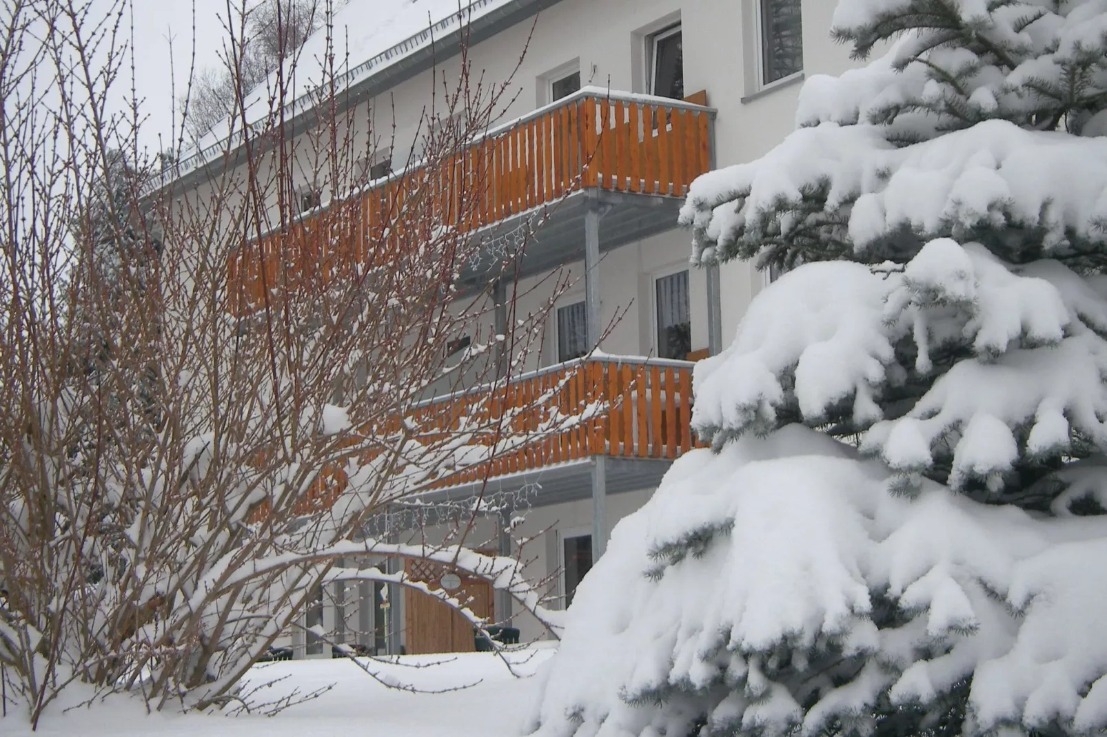 Anita-Garden winter