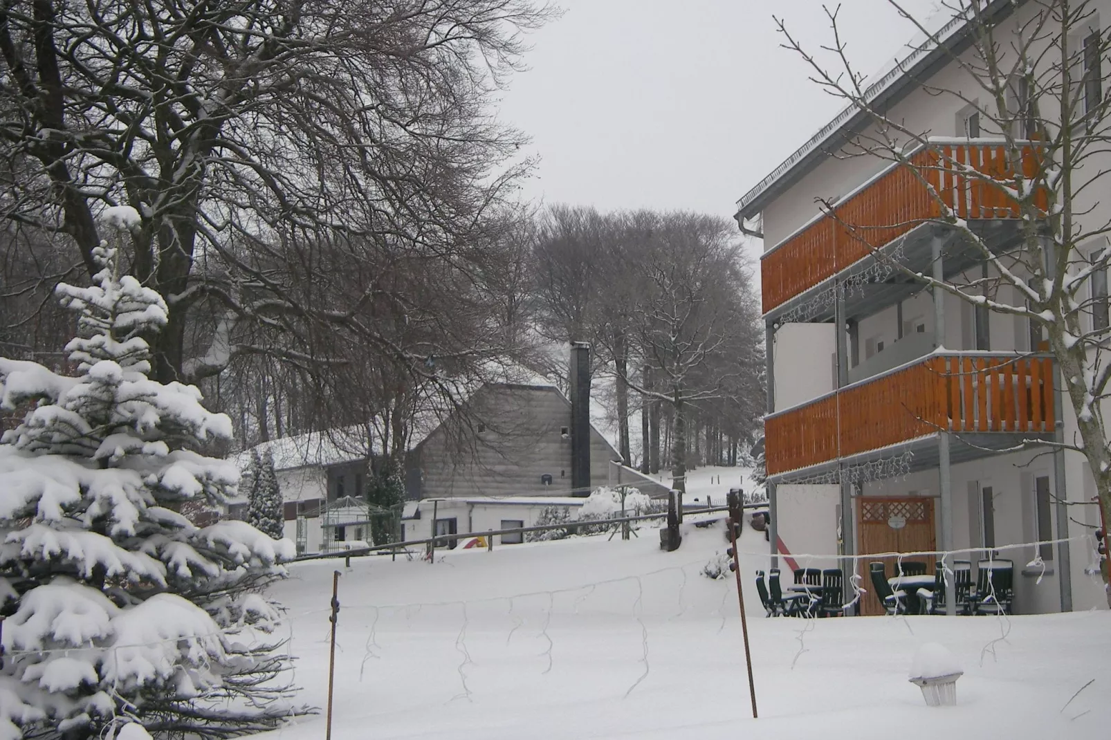 Anita-Garden winter