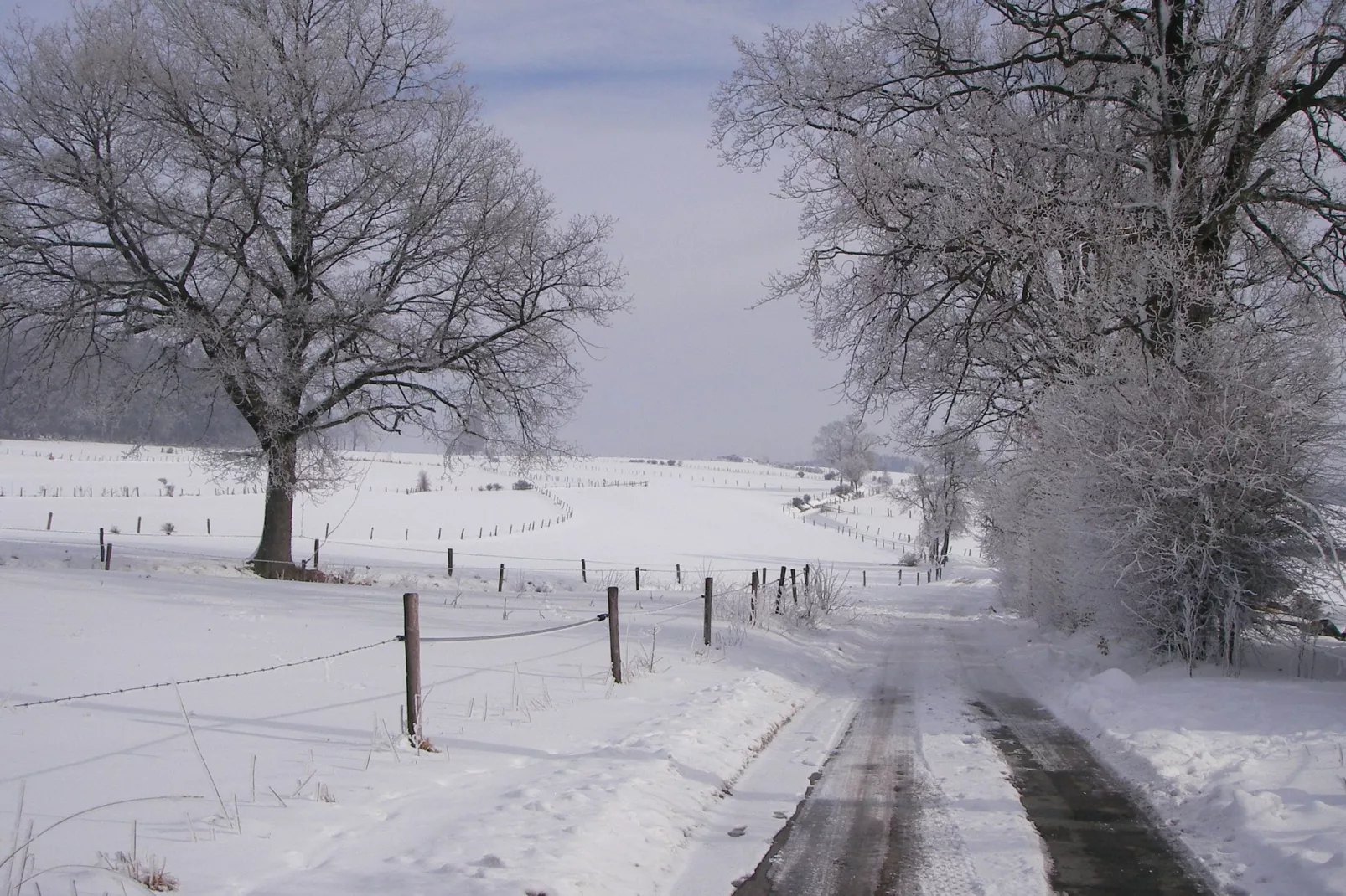 Anita-Area winter 1km