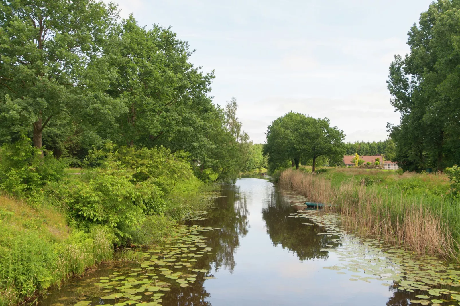 Haulervaart-Gebiete Sommer 1 km