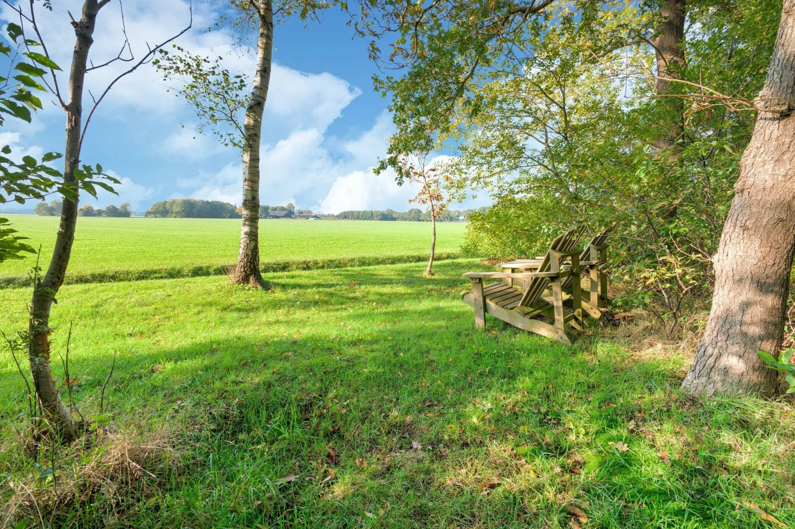 The Forest Cottage-View summer