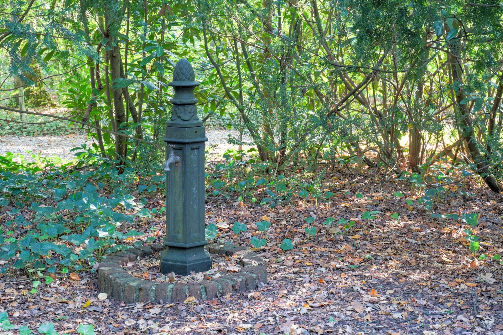 The Forest Cottage-Gardens summer