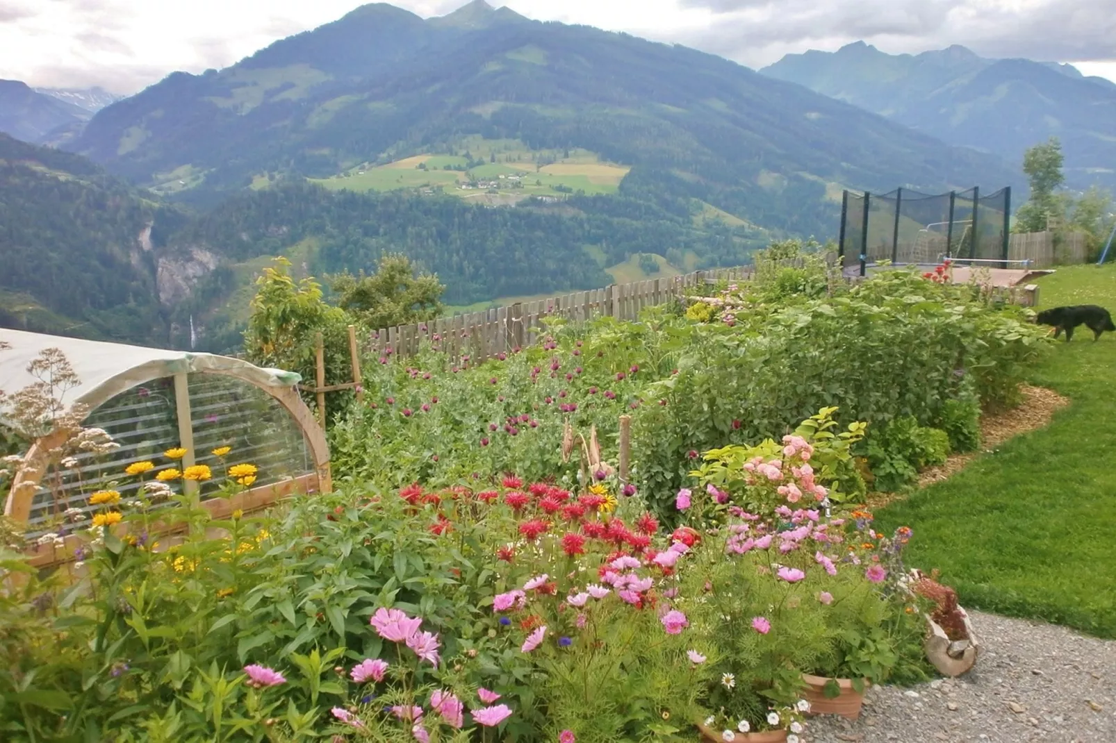 Reiterbauer-Gardens summer