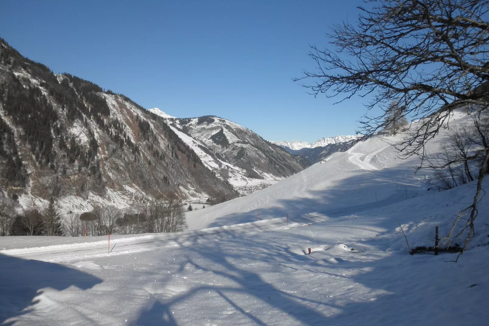 Am Berg-View winter