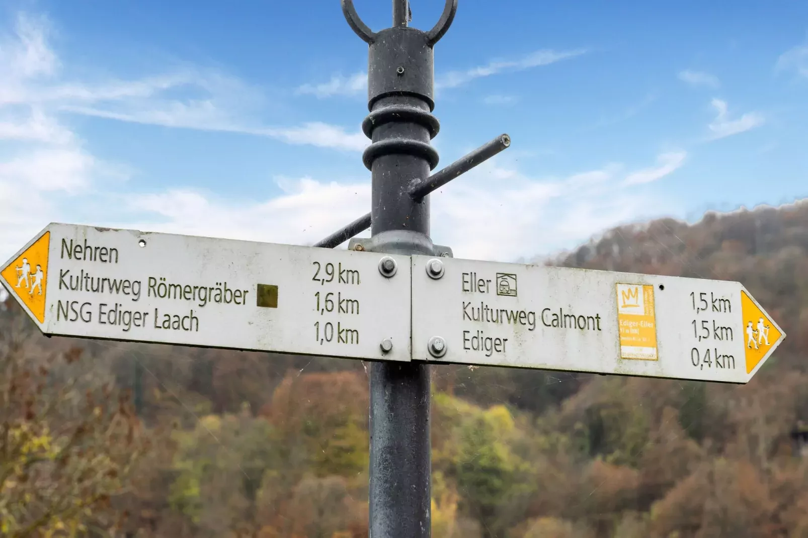 Weingut Kirch-Gebiete Sommer 20 km