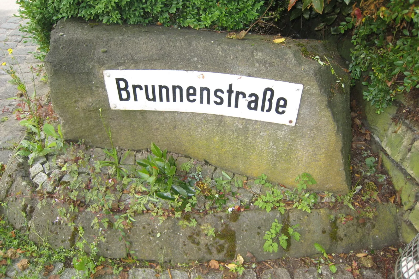 Haus Moselblick-Gebiete Sommer 1 km
