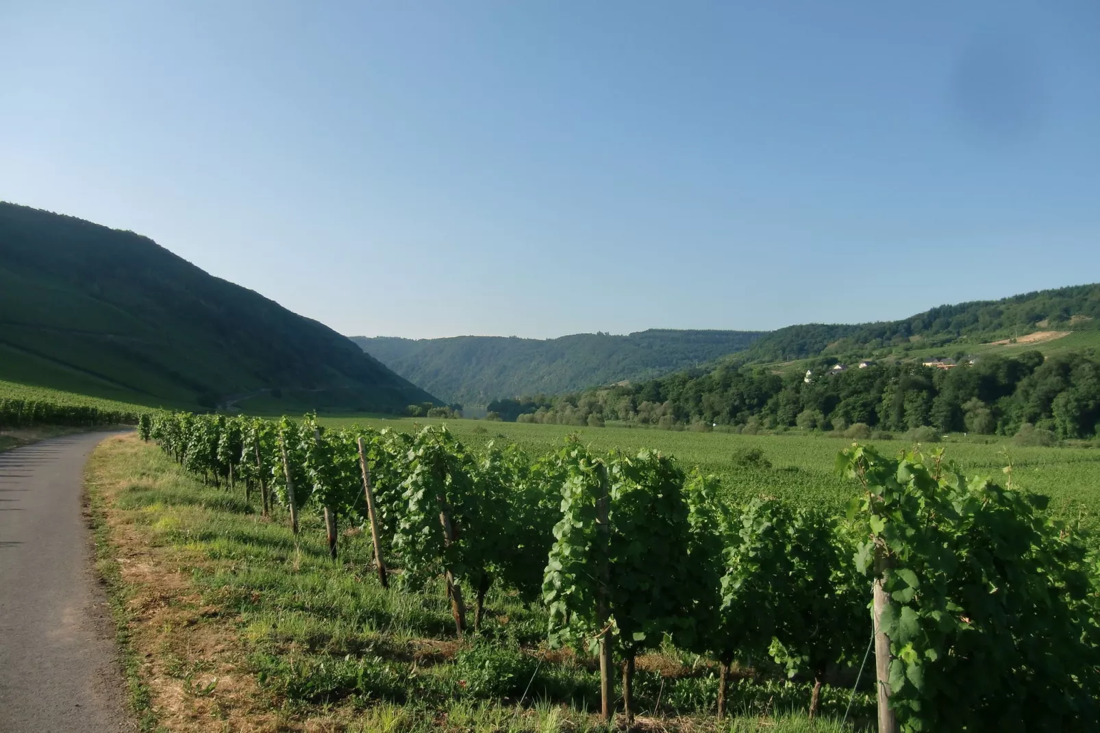 Haus Moselblick-Gebiete Sommer 5 km