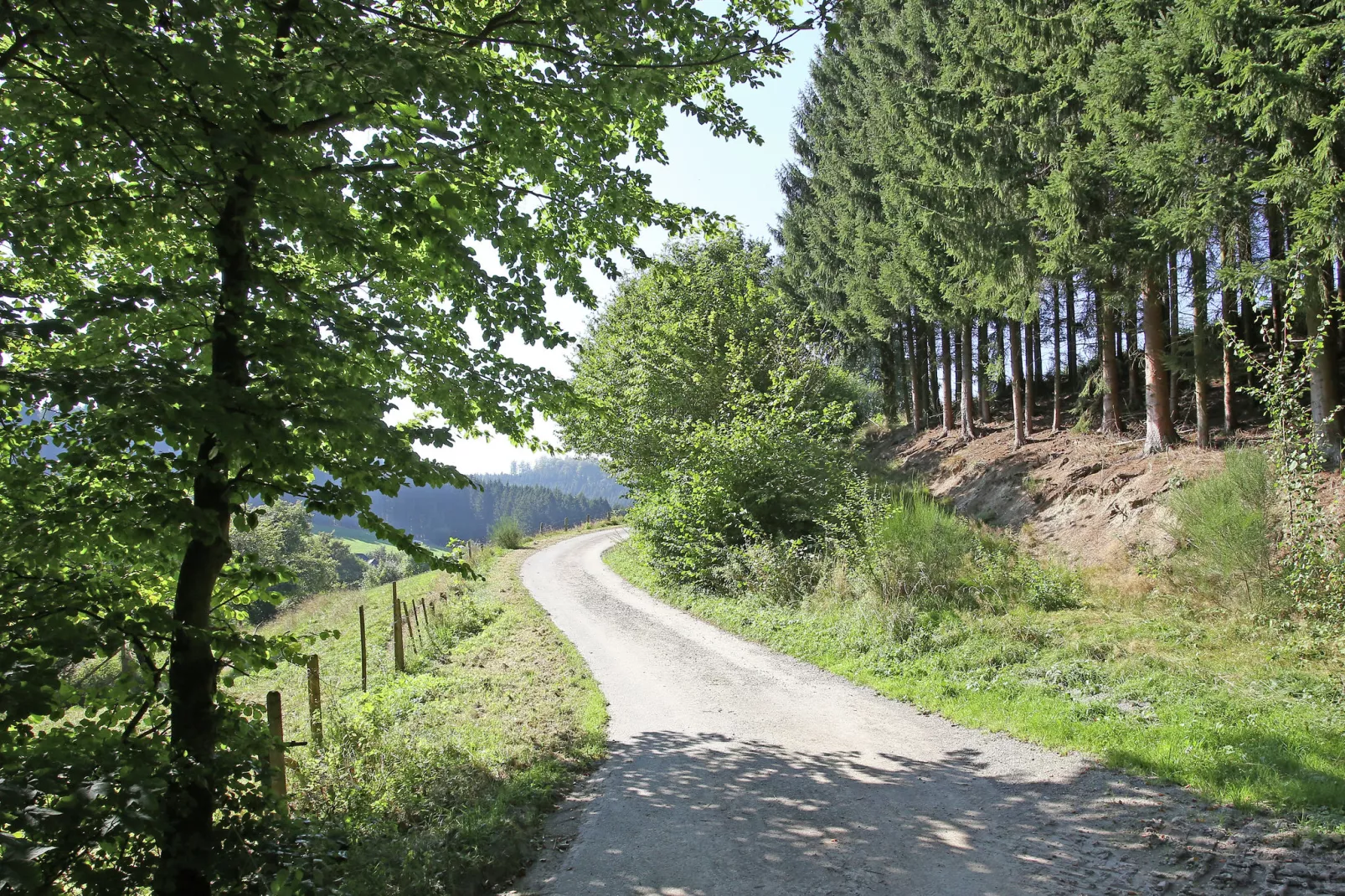 Biberbau-Areas summer 1km