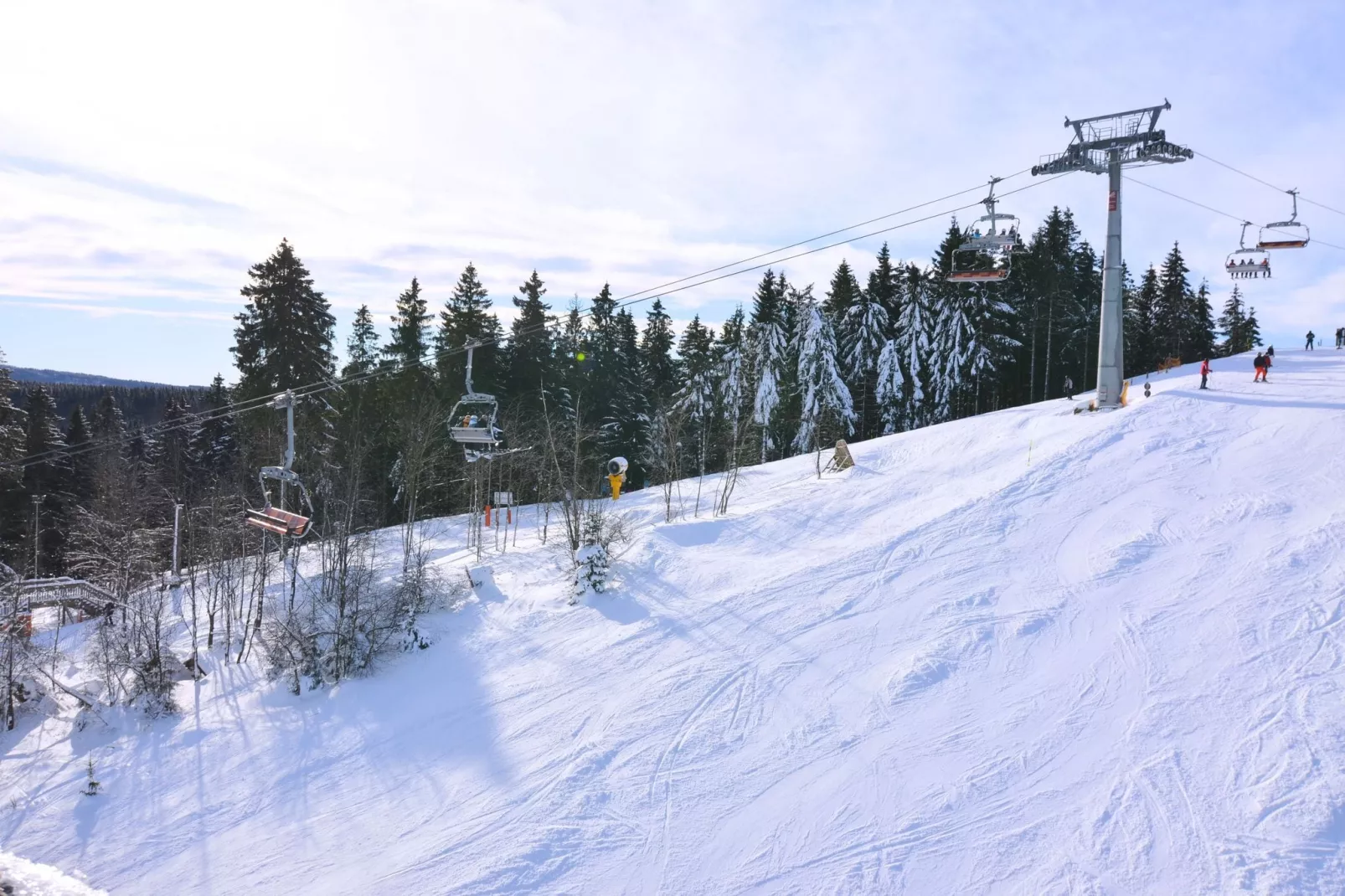 Olsberg-Elpe-Area winter 20km