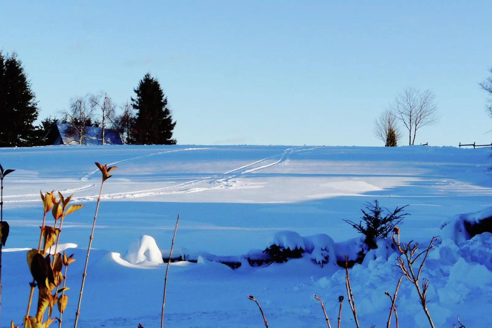 Winterberg-Garden winter