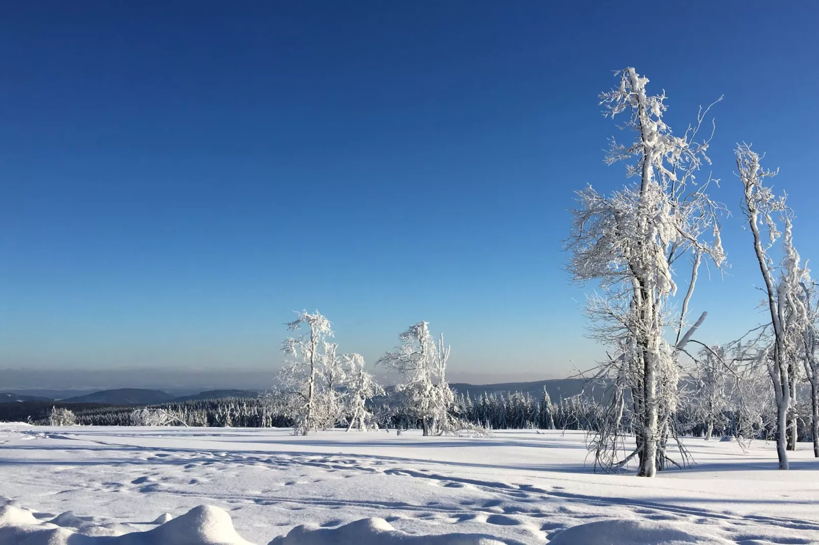 Winterberg-Area winter 20km