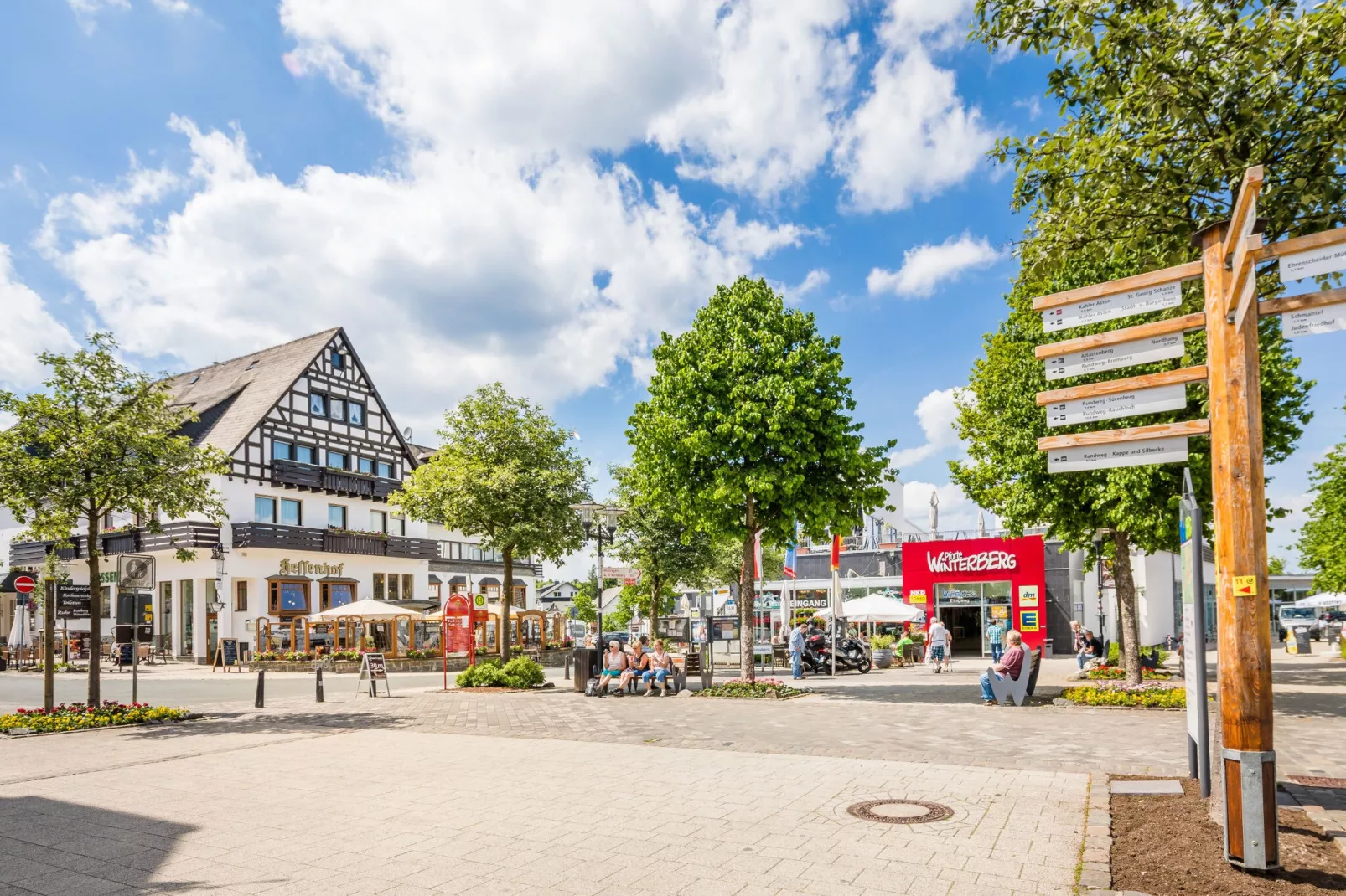 Bergresort Winterberg 4 - Areas within 5km in summer