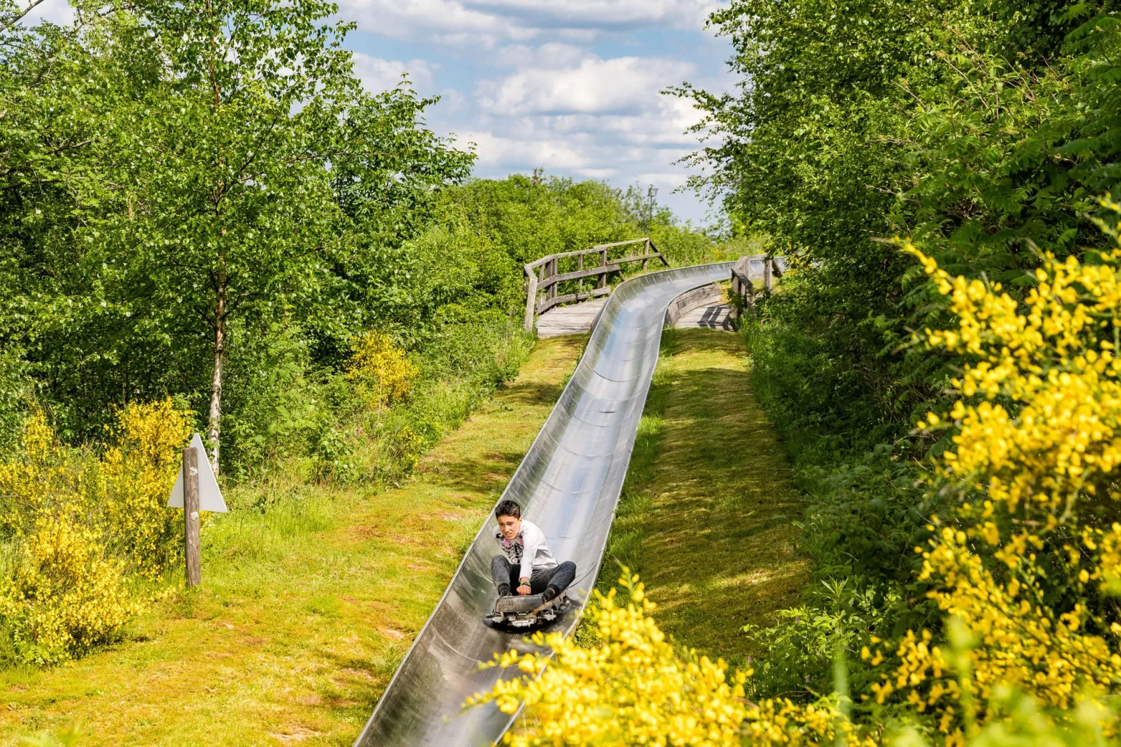 Bergresort Winterberg 4 - Areas within 5km in summer