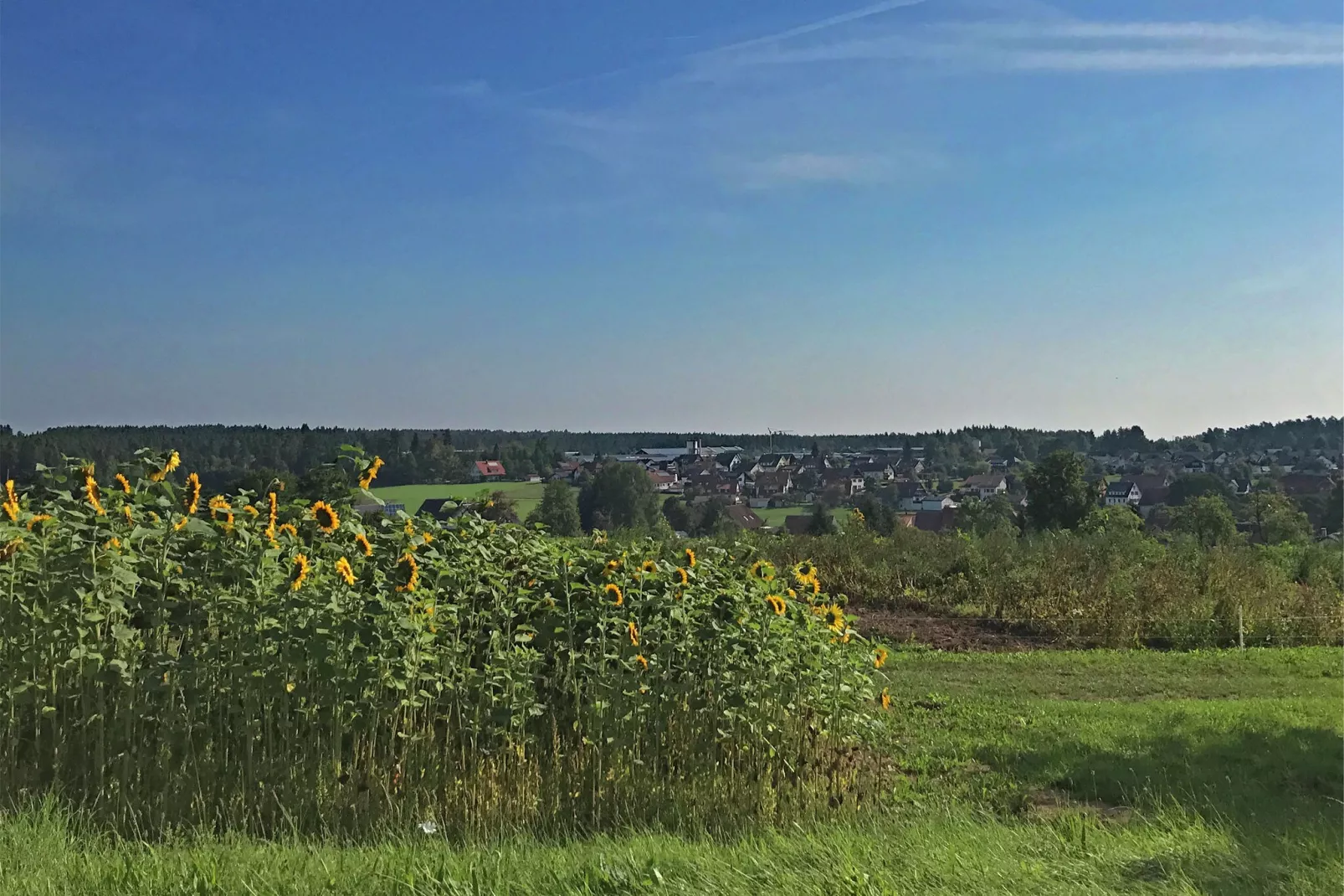 Marianne-Areas summer 20km