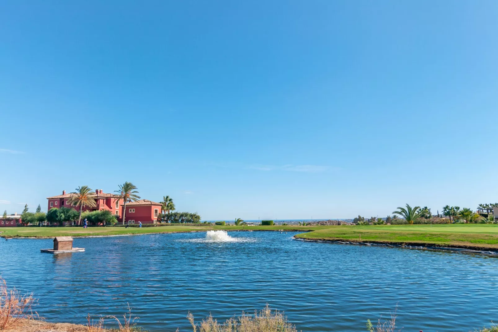 Valle del Este-Areas within 1km in summer