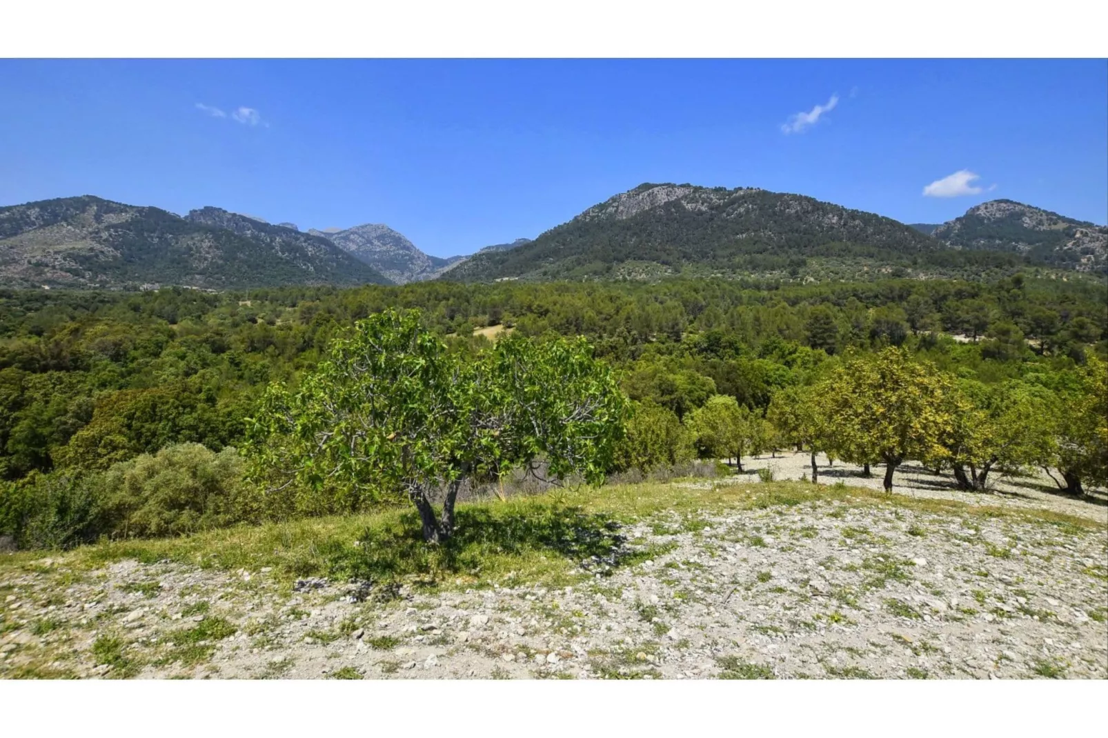 Tabou-Areas summer 1km
