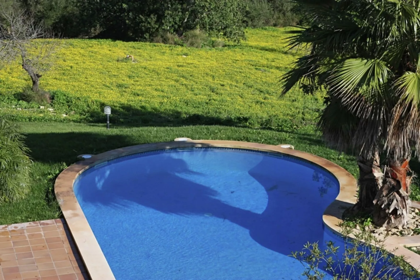 Petit-Pool