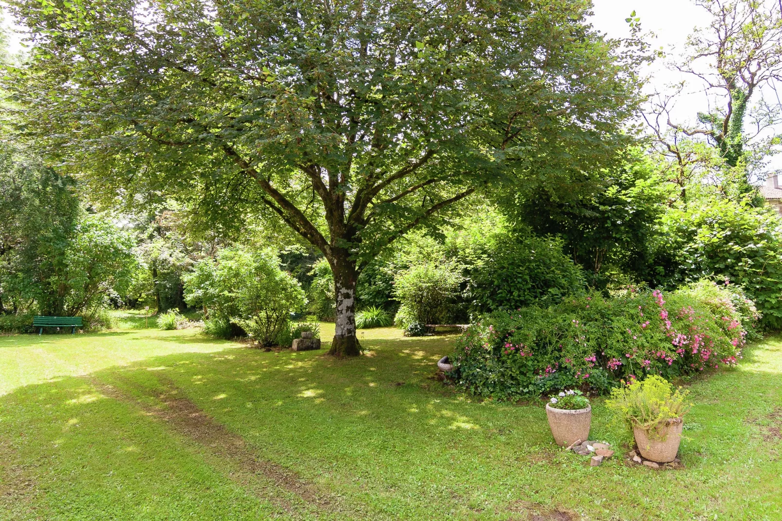Les Raneaux 12P-Gardens summer
