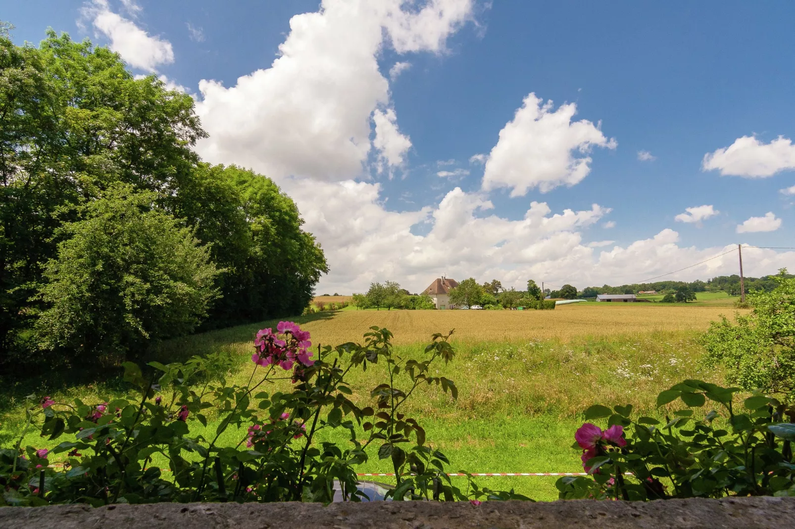 Les Raneaux 12P-Areas summer 1km