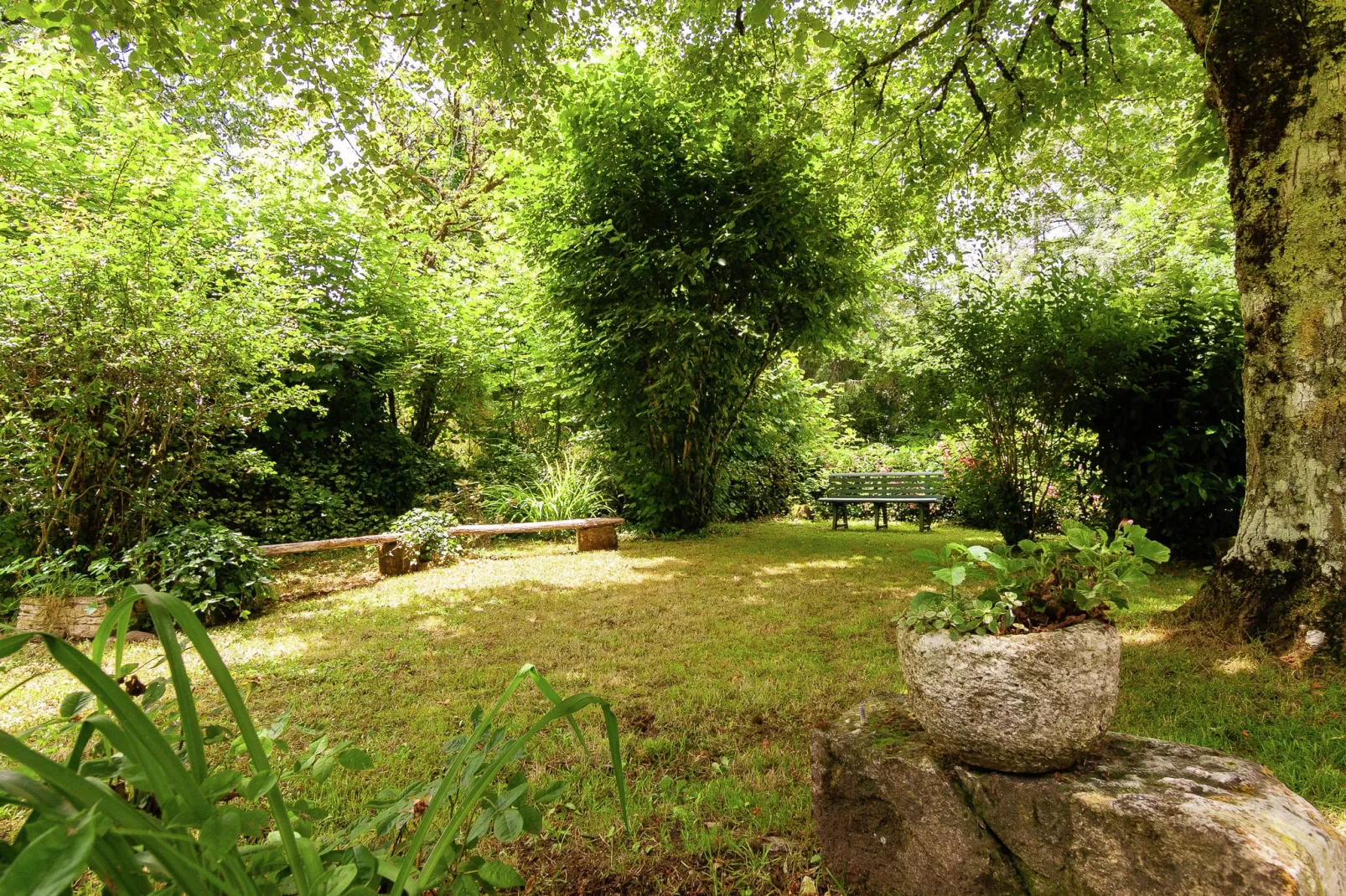 Les Raneaux 6P-View summer
