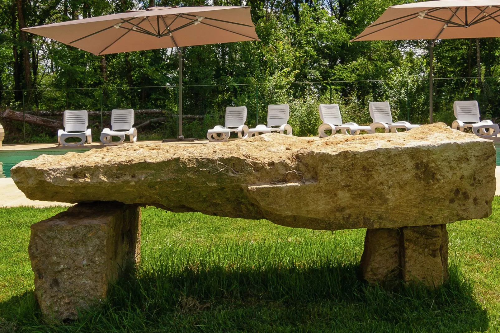 Les Raneaux 6P-Gardens summer