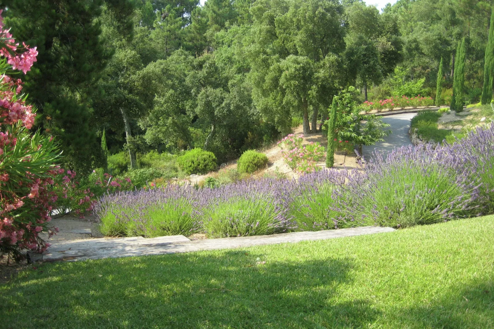 Villa Aramis-Gardens summer
